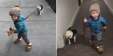 Video of a Dog Being Walked by a Kid Is Everything