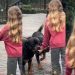 Dogs Ran to the Kid as Soon as She Called Out to Them in Adorable Video