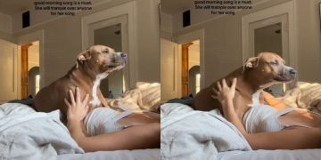 Video: Dog’s Day Starts off With ‘Good Morning’ Song From Owner