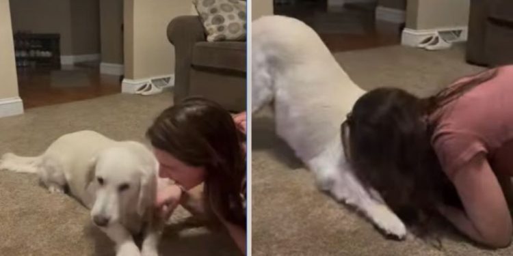 Rescue Dog Wipes Owner’s Kisses in Heartwarming Video