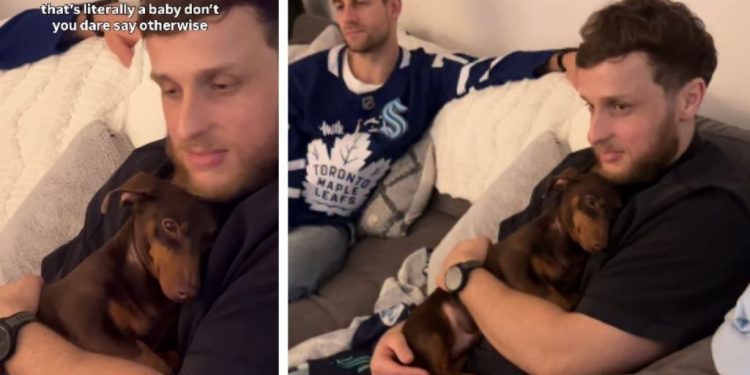 Dog Is Literally Just a Baby, All He Wants Is Beard Scratches