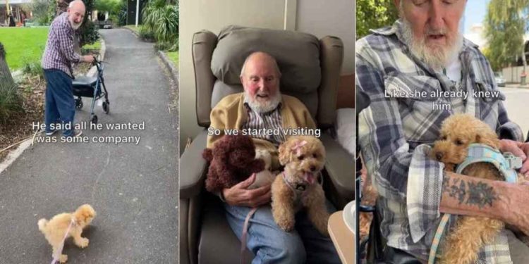 Dog Always Runs to the Man Who Wanted Company When She Met Him as a Pup