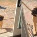 Dog’s Third Attempt To Bring Big Stick Home Ends Hilariously
