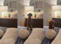 Tiny Dog Has Adorable Reaction To Own Reflection in Mirror