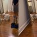 Puppy Is Bamboozled After Seeing Own Reflection in the Mirror