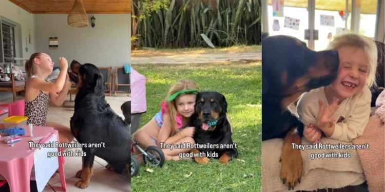 Dog Is the Best Companion This Little Girl Could Ask For, Here’s Proof