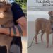 Rescue Dog Finds Forever Home After Being Lost & Living on the Streets