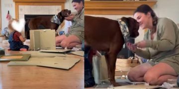Dog Just Wants To Help Mom & Little Baby, Showers Them With Kisses