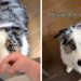 Dog Waited 6 Months for Baby to Finally Sneak Her Food