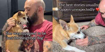 Dog Sneaks Into Neighbor’s House Through Fence, Then Comforts Grieving Family