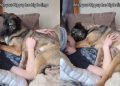 Rescue Dog With Big Feelings Turns Into a Baby, Needs Cuddles From Dad