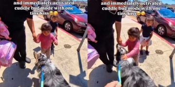 Dog Walks up to Little Girl Who Was Nervous at First & Wins Her Over With a Kiss