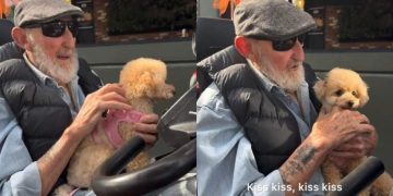 Dog Still Gets Excited To See the Man She Met as a Pup, Covers Him in Kisses