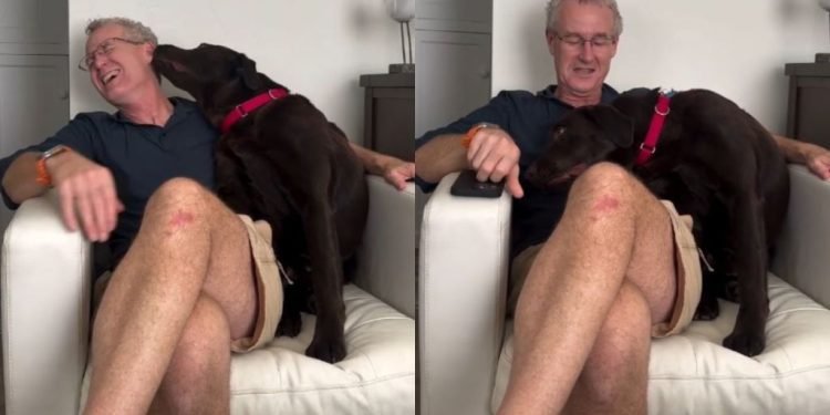 Dog Gets Jealous When Dad Talks to Little Brother & His Reaction Says It All