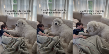 Dog Grew up With Little Boy & Now They Share Unbreakable Bond