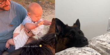 Dog & Little Boy Become Inseparable as They Grow up Together