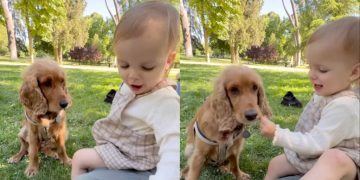 Owner Reveals Baby’s First Words To Be Dog’s Name