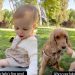 Owner Reveals Baby’s First Words To Be Dog’s Name