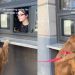 Golden Retriever Successfully Orders His Own Pup Cup