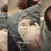 Dog Appears a Bit Unimpressed After Dad ‘Saves’ Her Life