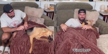 Rescue Dog Definitely Approves of New ‘Cuddle Blankie’ His Dad Got for Them