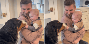 Owner Captures Precious Moment of Dog & Baby Becoming Besties