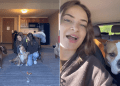 Rescue Dog Has a Forever Home Now, but Saying Goodbye To Foster Mom Is Hard