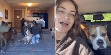 Rescue Dog Has a Forever Home Now, but Saying Goodbye To Foster Mom Is Hard