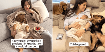 Pregnant’ Dog & Mom Have Their Babies Growing up Together Like a Fairytale