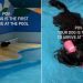 Dog Starts Doing ‘Happy Hops’ After Arriving First at Pool
