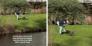 Senior Dog Runs Across Park To Meet One True Love & It’s Just Grandpa