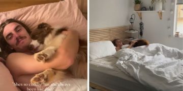 Dog Still Cuddles With Dad in Bed the Same Way She Used to as a Little Pup