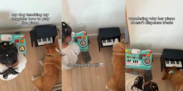 Dog Teaches Little Girl How To Play Piano