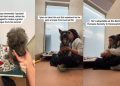 Shelter Dog Hates His Kennel & Shakes in Fear Until He Gets Hugs