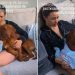 Dog Refuses To Give up Mom’s Lap After Baby Arrives, So They Share It
