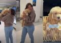Golden Retriever Puppy Meets New Parents & Instantly Falls in Love