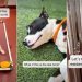 ‘Surrendered’ Shelter Dog Lands on Urgent List But Soon Gets Best News