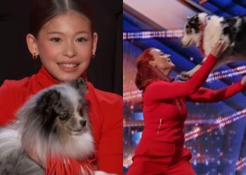 Surprise Dancing Dog Act on ‘AGT’ Wins the Ultimate Golden Buzzer