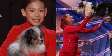 Surprise Dancing Dog Act on ‘AGT’ Wins the Ultimate Golden Buzzer