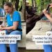 Shelter Dog Still Remembers Tricks He Learned in the Past While Waiting for a Second Chance