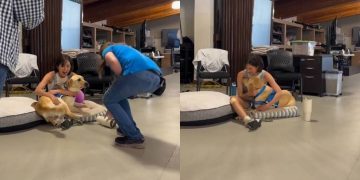 Human & Service Dog Are ‘Pre-Match Made in Heaven’ & This Video Is Proof