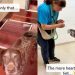 Senior Shelter Dog Surrendered by Family Finds a Loving New Home