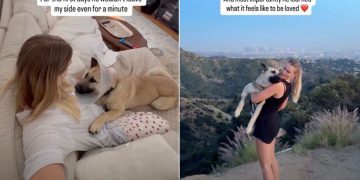 Abandoned Rescue Dog Learns What Its Like To Be Loved in New Home