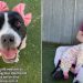 ‘Happiest’ Shelter Dog Scheduled for Euthanasia Waits for Her Forever Home