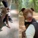 Rescue Tripod Dog Still Worries About Being Left Behind, but His Family Shows He’s Home for Good