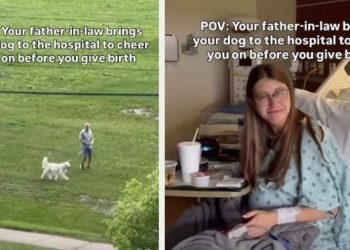 Dog Cheers on Mom Before She Gives Birth With a Little Help