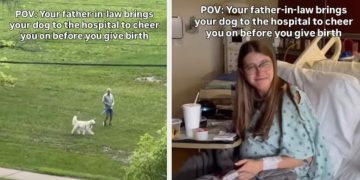 Dog Cheers on Mom Before She Gives Birth With a Little Help