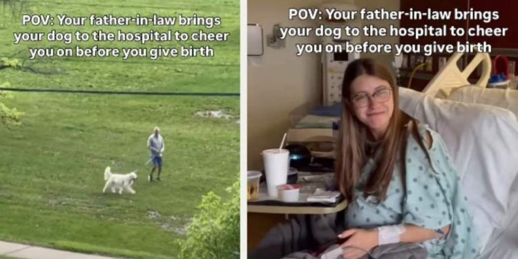 Dog Cheers on Mom Before She Gives Birth With a Little Help