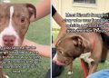 Blind Shelter Puppy Keeps Searching for Love & Colors in a World He Can’t See