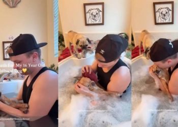Dad Gives His Childhood Dog of 16 Years a Warm, Well-Deserved Bath